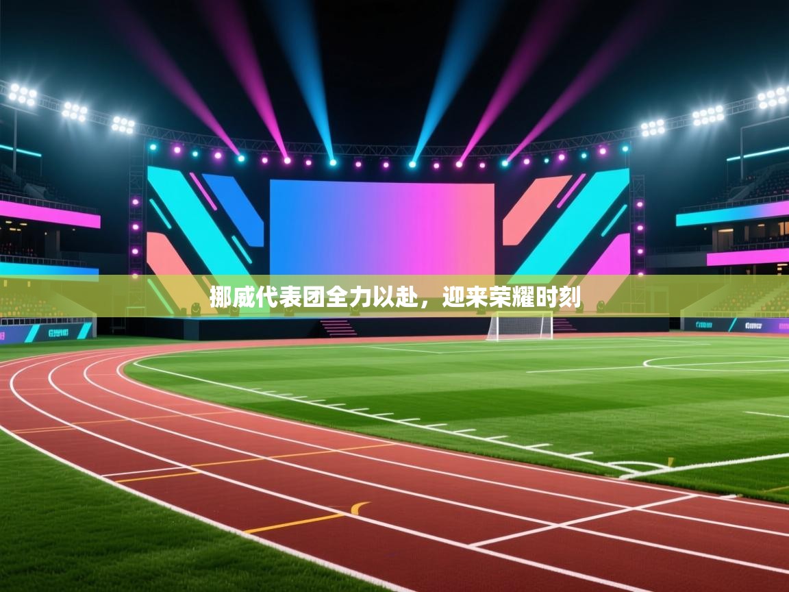 挪威代表团全力以赴，迎来荣耀时刻  第2张